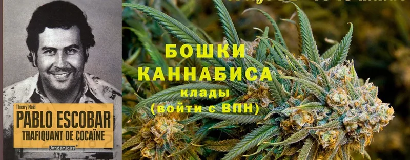 наркотики  Власиха  Марихуана THC 21% 